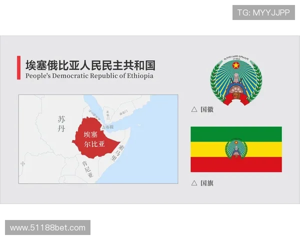 了解太阳城集团博彩的历史与发展历程